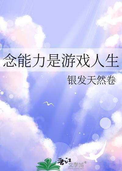 念能力有是未来的日记22