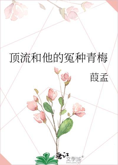顶流和他的冤种青梅原著免