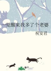 一觉醒来我多了个老婆 作者易玄