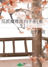 反派魔尊洗白手册[重生