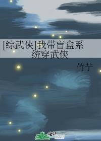 综武侠我带盲盒系统穿武侠