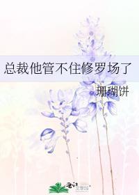 总裁他不行