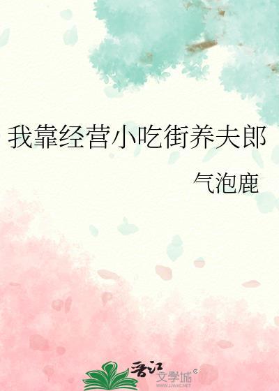 我靠经营小吃街养夫郎 气泡鹿 免费