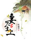 先婚后爱莫少宠妻至上