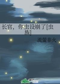 长官txt