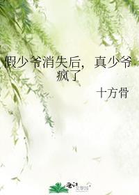 假少爷消失后真少爷疯了笔趣阁
