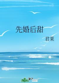 先婚后爱的甜宠文