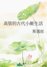 高管古代小厮生活晟然结局