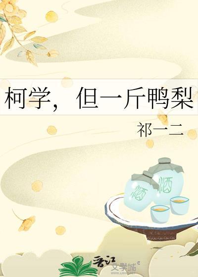 但一斤鸭梨txt