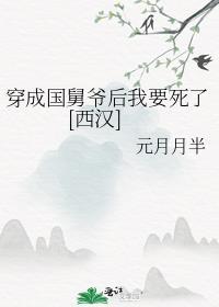 穿越成国