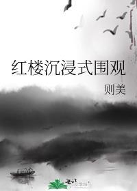 红楼沉浸式围观讲了什么