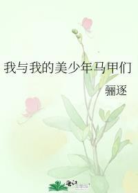 我与我的美少年马甲们免费阅读