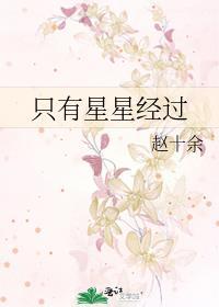 只有星星经过全文免费阅读