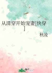 清穿开始做宠妃
