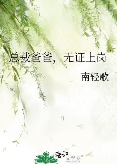 总裁爸爸无证上岗南轻歌