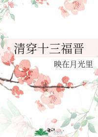清穿十三福晋的