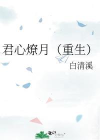 君心燎月(重生)书评