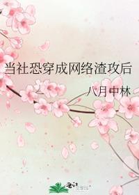 当社恐穿成网络渣攻后免费阅读