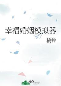 幸福婚姻模拟器TXT