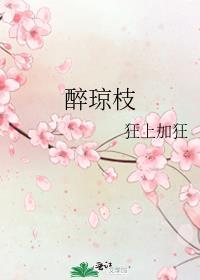 醉琼枝蔓荷桥影