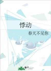 悸动是哪里的品牌