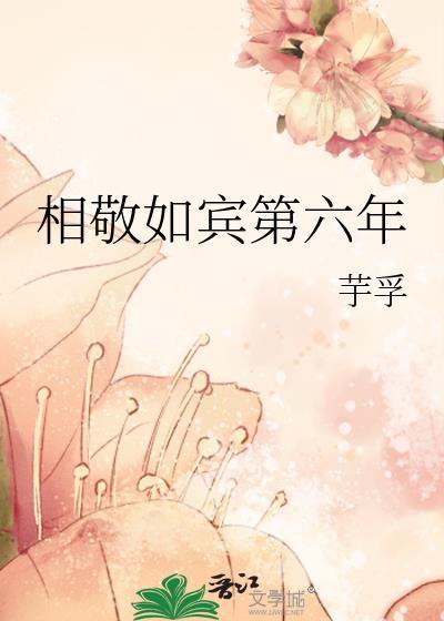相敬如宾指的是