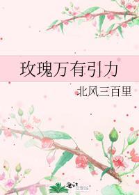 玫瑰万有引力北风三百里免费阅读
