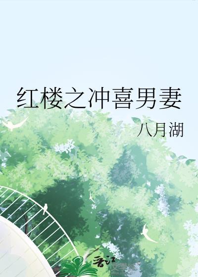 红楼之冲喜男妻作者八月湖