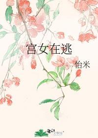 宫女在逃百度