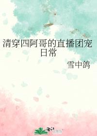 清穿四阿哥养母