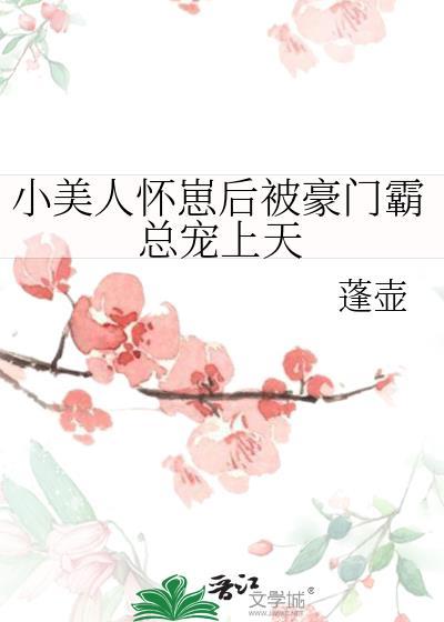 小美人怀了协议大佬的崽