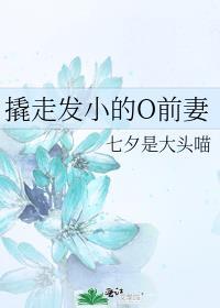 撬走发小的o前妻的番外