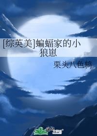 综英美蝙蝠家攻略日记