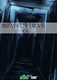 她的小玫瑰女a男o十万伏特橙薯条全文阅读_