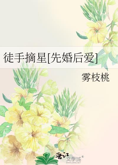 徒手摘星辰正版全文