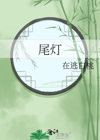 尾灯是什么灯
