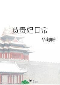 红楼梦贾贵妃省亲