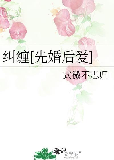 纠缠先婚后爱的