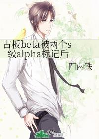 古板beta被两个s级alpha标记后晋江