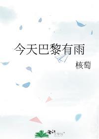 今天巴黎的气温