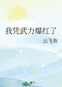 我凭武力爆红了云飞