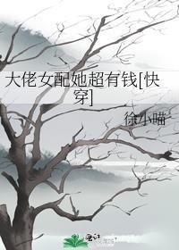我是平妻也是被废的皇后讲的什么