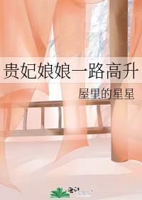 贵妃娘娘一路高升晋江