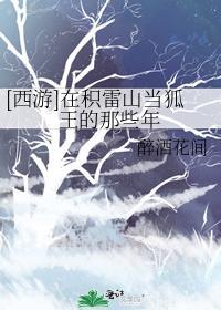 [西游