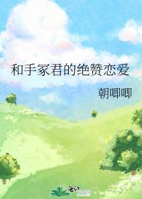 手冢官配