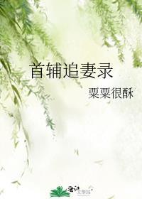 首辅追妻录慕月笙