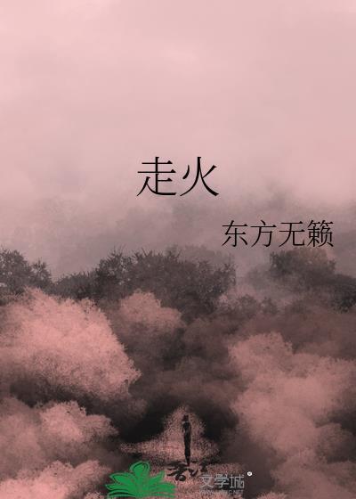 走火电视剧免费观看完整版高清全集