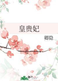 皇贵妃有几个