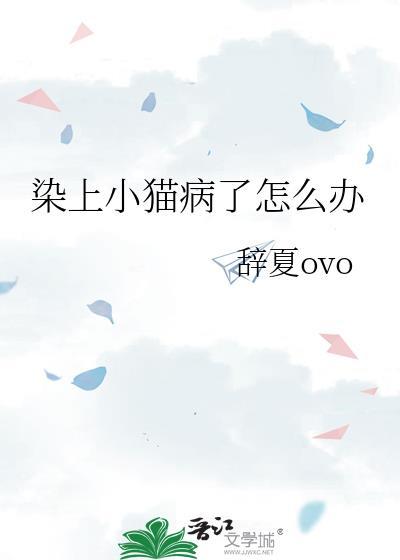 猫瘟在家怎么治疗