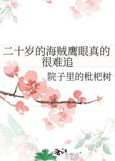 海贼 鹰眼
